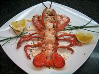 receta de Bogavante cocido