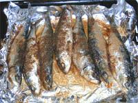 receta de Sardinas al horno